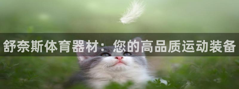 极悦平台官方网站登录：舒奈斯体育器材：您的高品质运动