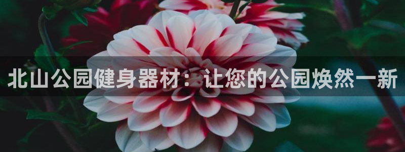 极悦平台注册登录不上：北山公园健身器材：让您的公园焕