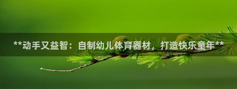 极悦平台客服的联系方式是多少：**动手又益智：自制幼