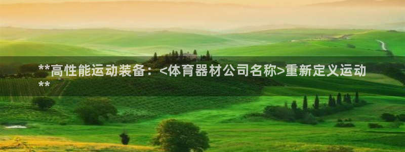 极悦平台安全吗：**高性能运动装备：<体育器材公司名