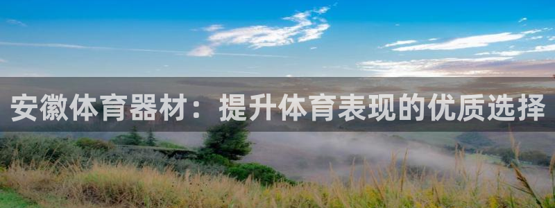 极悦平台注册流程详解图：安徽体育器材：提升体育表现的