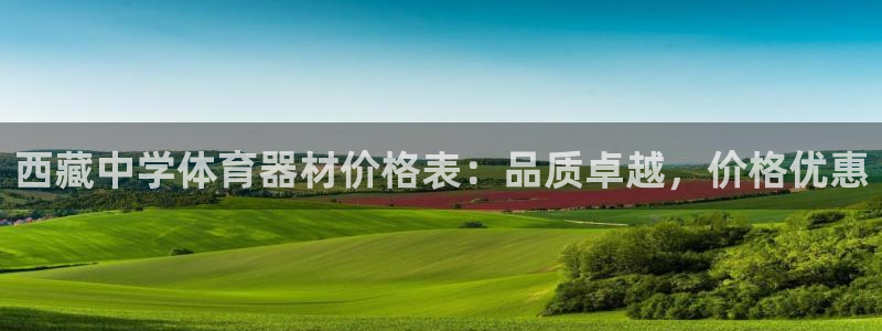 极悦平台登录不进去怎么回事儿：西藏中学体育器材价格表