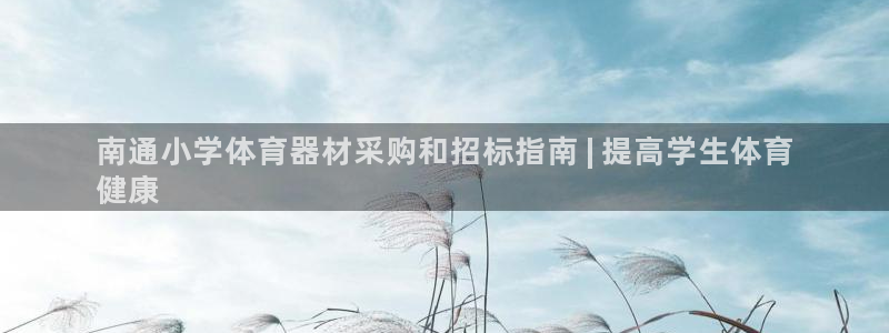 极悦平台官网登录不了：南通小学体育器材采购和招标指南