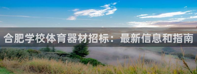 极悦平台网址皮皮虾：合肥学校体育器材招标：最新信息和