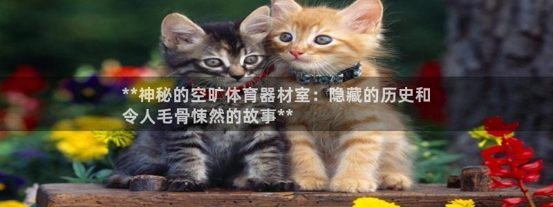 极悦平台app二维码怎么弄的：**神秘的空旷体育器材