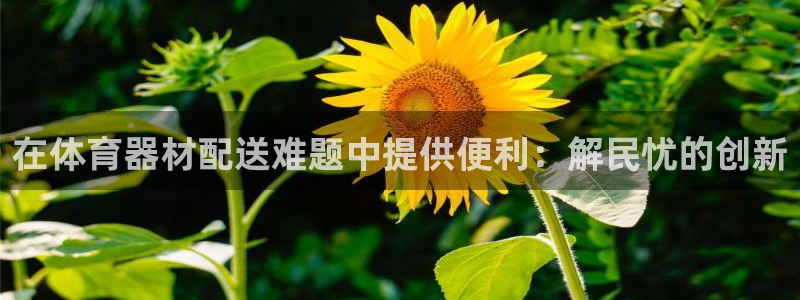 极悦娱乐代理多少钱：在体育器材配送难题中提供便利：解