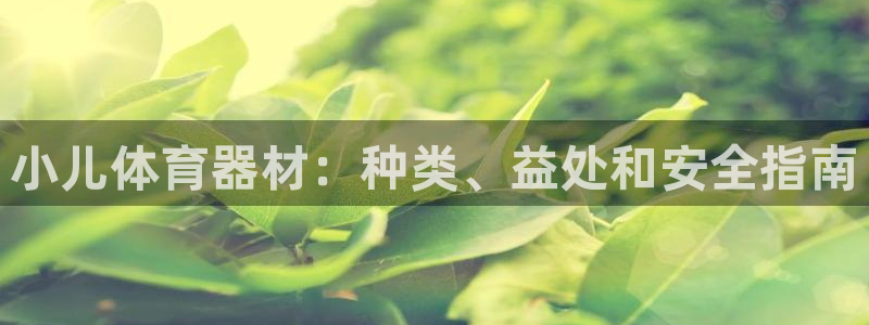 极悦官网首页：小儿体育器材：种类、益处和安全指南