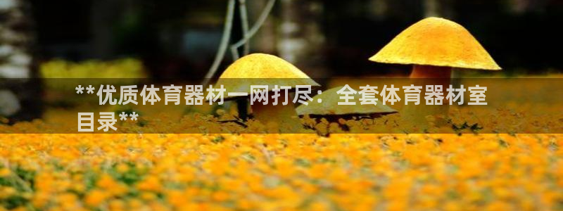 极悦娱乐代理人是谁啊：**优质体育器材一网打尽：全套