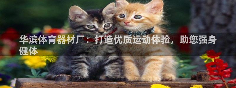 极悦平台有风险吗知乎：华滨体育器材厂：打造优质运动体