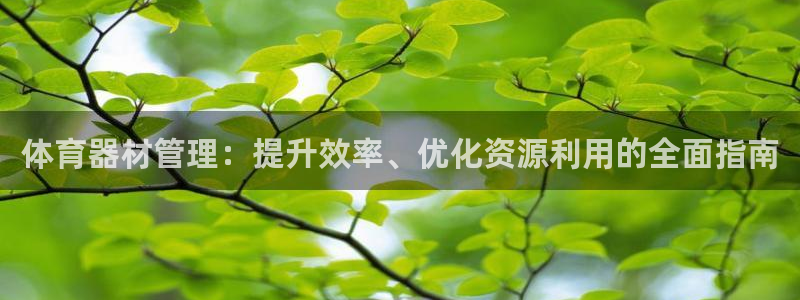 极悦娱乐游戏中心：体育器材管理：提升效率、优化资源利