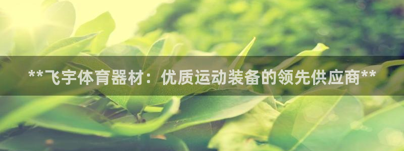极悦平台官方网站入口下载：**飞宇体育器材：优质运动