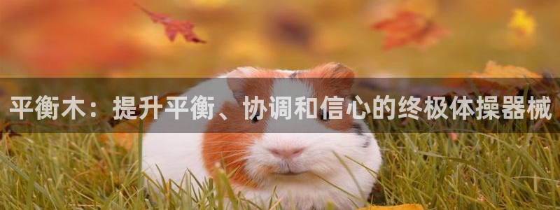 极悦平台用户评价在哪里看：平衡木：提升平衡、协调和信