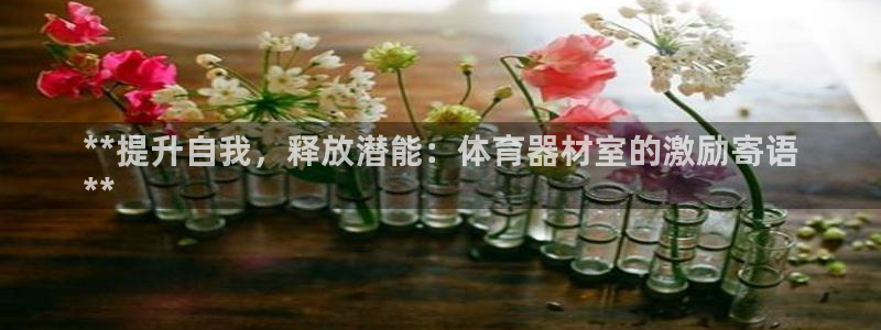 极悦娱乐官网入口下载：**提升自我，释放潜能：体育器
