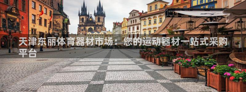 极悦平台代理怎么赚钱的：天津东丽体育器材市场：您的运