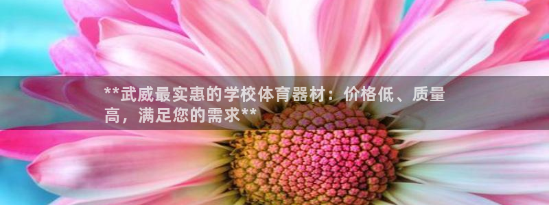 极悦平台官方网站登录网址：**武威最实惠的学校体育器