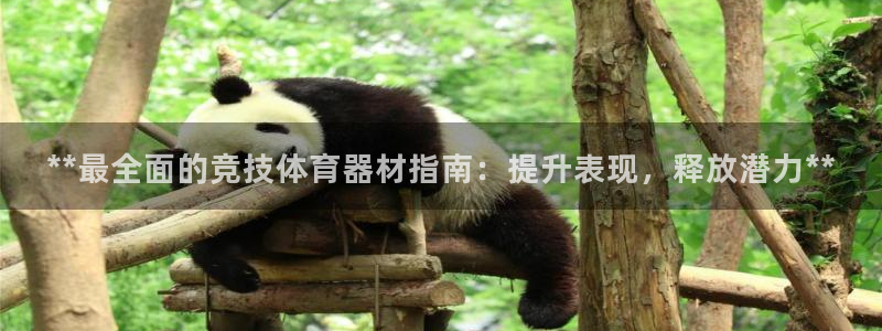 极悦平台注册官方网站下载安装手机版：**最全面的竞技