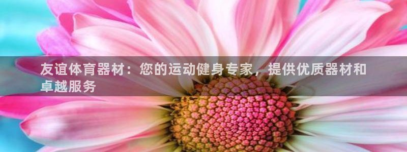 极悦娱乐下载安装手机版：友谊体育器材：您的运动健身专