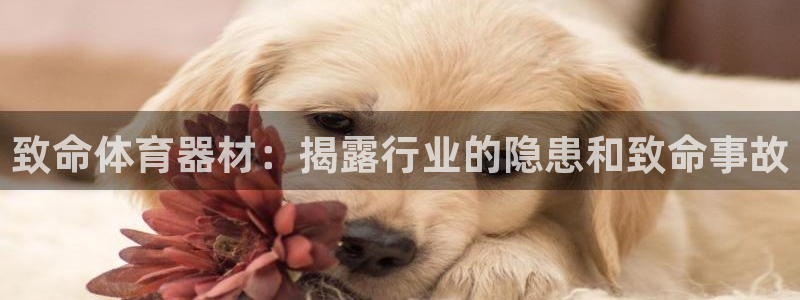 极悦平台网址AGHF8点C0M：致命体育器材：揭露行