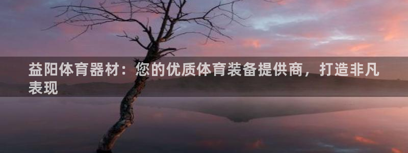 极悦官网：益阳体育器材：您的优质体育装备提供商，打造