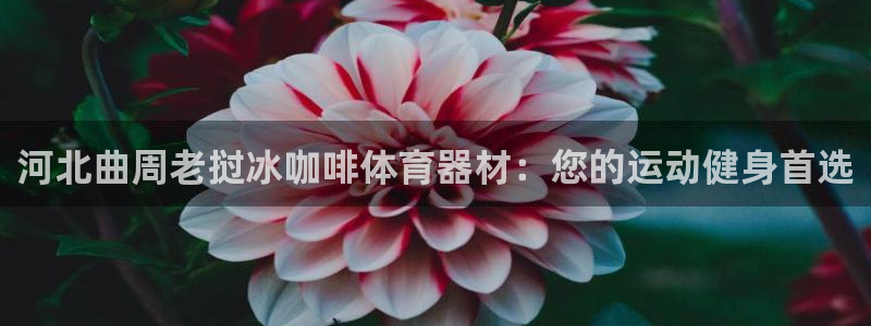 极悦平台创始人背景故事：河北曲周老挝冰咖啡体育器材：