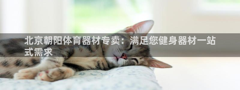极悦平台方7O777：北京朝阳体育器材专卖：满足您健