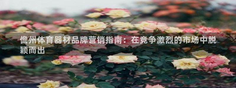 极悦娱乐会被骗吗是真的吗：儋州体育器材品牌营销指南：