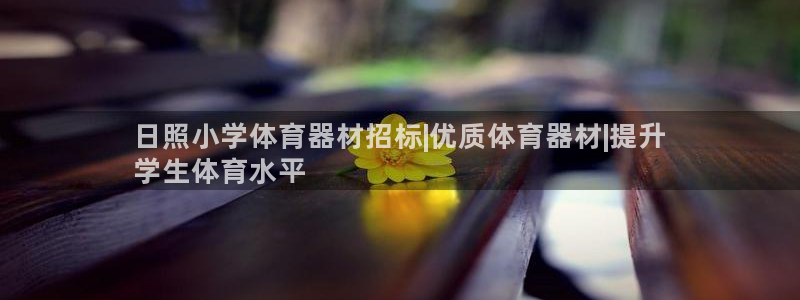极悦娱乐app官方版本更新内容是什么：日照小学体育器
