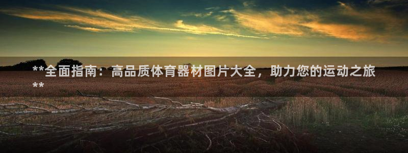 极悦平台官方网站登录网址：**全面指南：高品质体育器