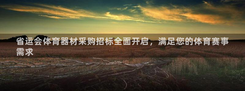 极悦平台有风险吗安全吗：省运会体育器材采购招标全面开