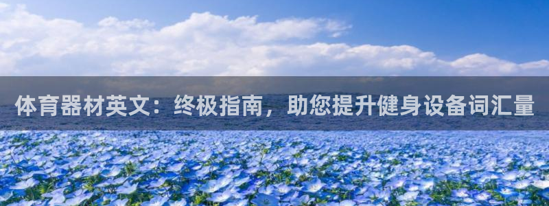 极悦平台代理怎么赚钱的：体育器材英文：终极指南，助您