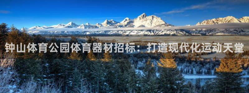 极悦娱乐创始人背景故事是什么：钟山体育公园体育器材招