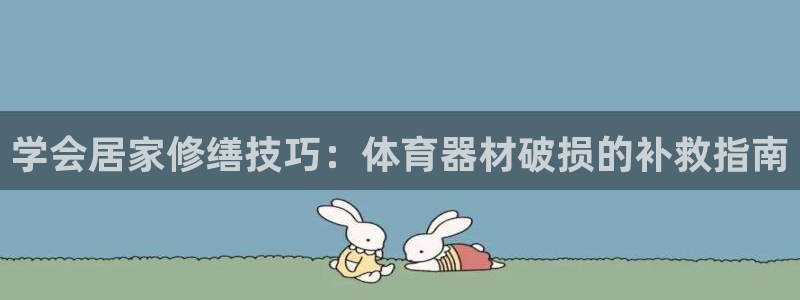 极悦平台代理怎么赚钱：学会居家修缮技巧：体育器材破损