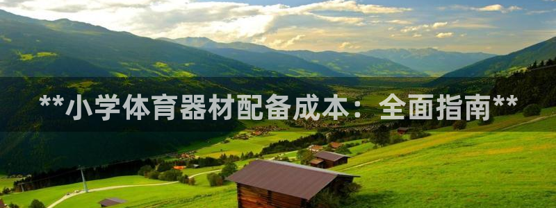 极悦平台是什么公司：**小学体育器材配备成本：全面指