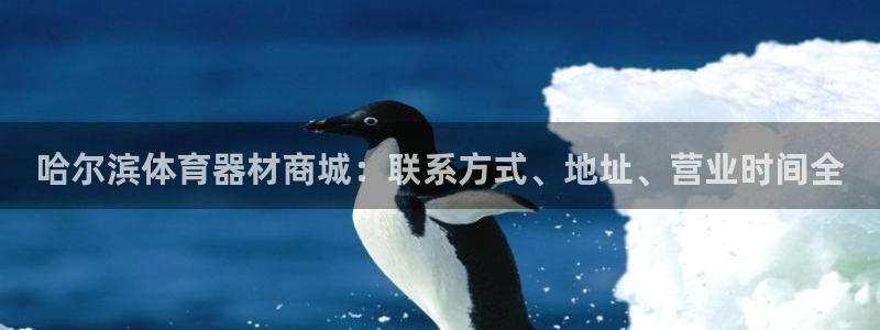 极悦平台注册登录失败：哈尔滨体育器材商城：联系方式、