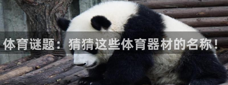 极悦平台平台登录入口：体育谜题：猜猜这些体育器材的名
