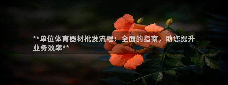 极悦平台官方网站登录：**单位体育器材批发流程：全面
