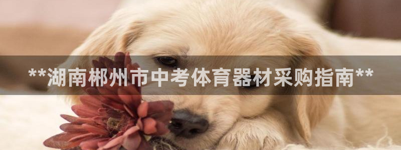 极悦官网旗舰店：**湖南郴州市中考体育器材采购指南*