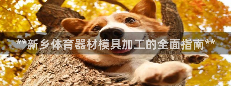 极悦娱乐代理怎么样知乎：**新乡体育器材模具加工的全