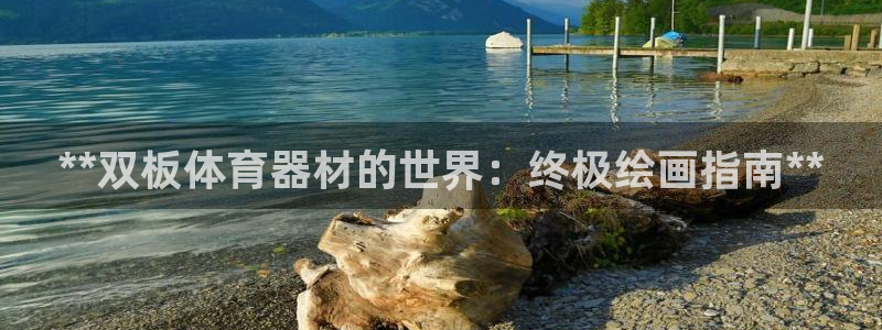 极悦娱乐的创始人背景故事：**双板体育器材的世界：终