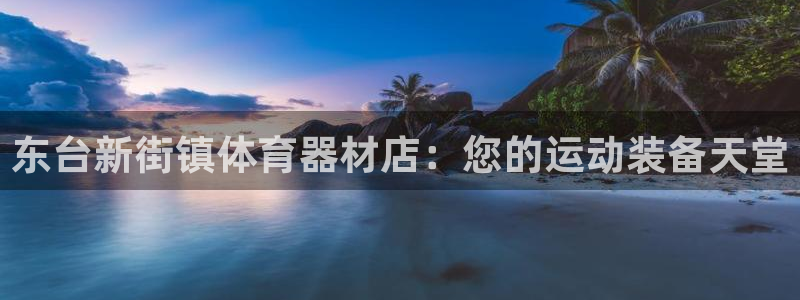 极悦平台注册用户名验证不了：东台新街镇体育器材店：您