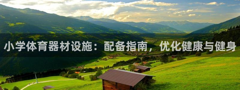 极悦平台注册登录入口：小学体育器材设施：配备指南，优