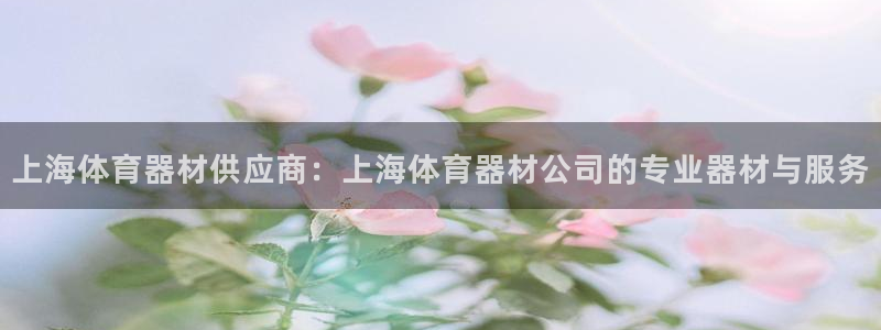 极悦平台客服团队介绍：上海体育器材供应商：上海体育器