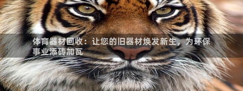 极悦平台官网下载中心app：体育器材回收：让您的旧器