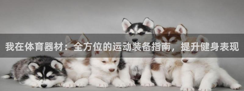 极悦平台官网登录入口下载：我在体育器材：全方位的运动