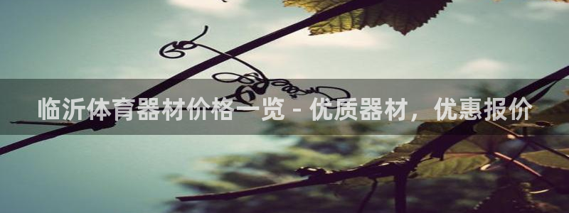 极悦平台官方网址是什么：临沂体育器材价格一览 - 优