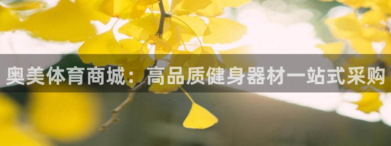 极悦平台官方网站下载安装：奥美体育商城：高品质健身器