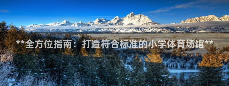 极悦娱乐登录拒绝访问怎么办理：**全方位指南：打造符