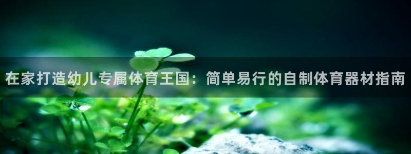 极悦平台基7O777：在家打造幼儿专属体育王国：简单
