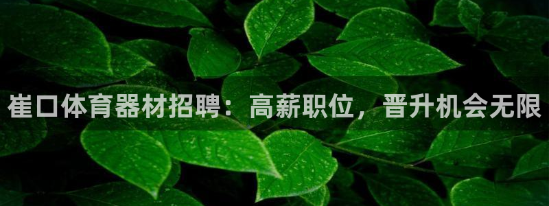 极悦平台app二维码怎么弄出来：崔口体育器材招聘：高