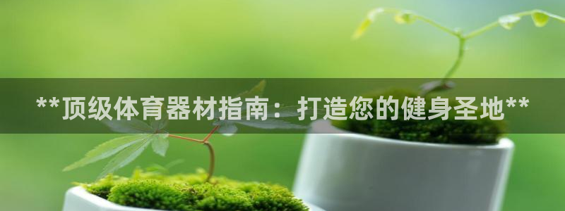 极悦平台用户评价：**顶级体育器材指南：打造您的健身